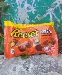 חטיף בטעם שוקולד ממולא קרם בוטנים ללא גלוטן | Reese’s minis