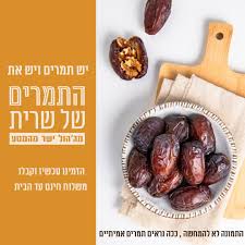 עוגת פס עוקץ הדבורה עגולה קוטר 20 ללא גלוטן | gluten free