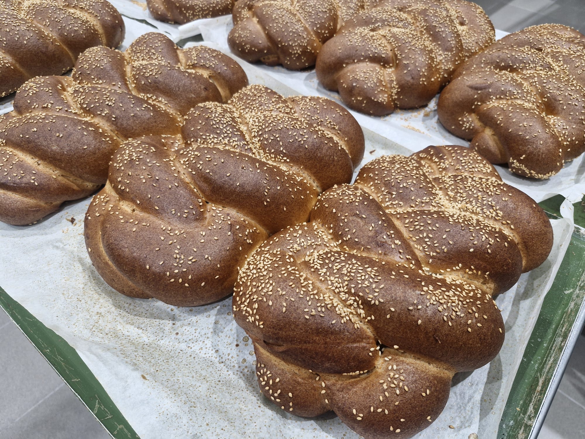 חלה קלועה מתוקה ללא גלוטן המוציא(600 גרם) | עידן ללא גלוטן