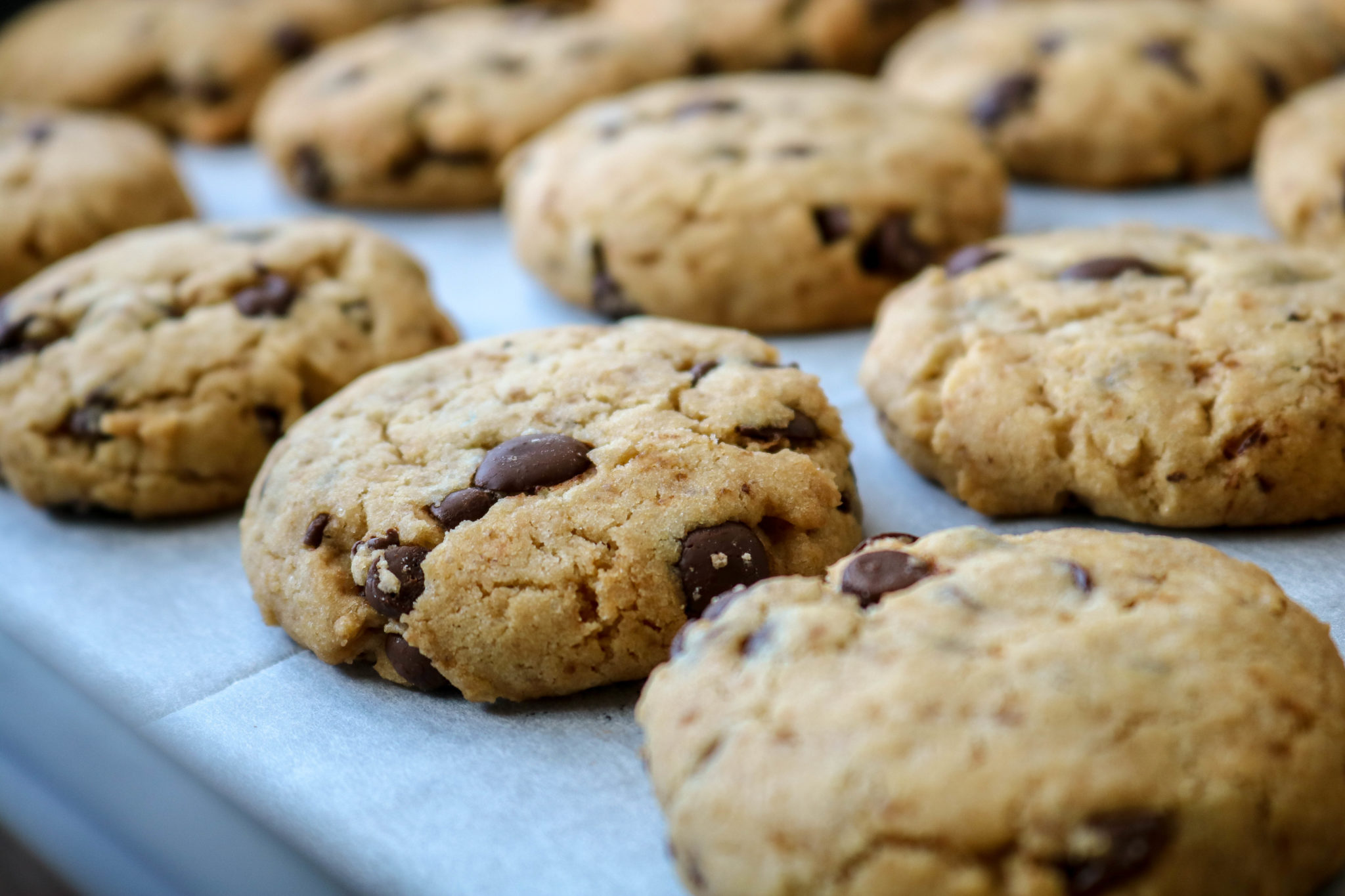 עוגיות שוקוצ'יפס ללא סוכר ללא גלוטן | פינובייקרי